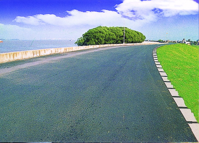 長(zhǎng)江九江段濟(jì)益公堤頂公路